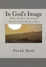 BookCoverPreview - In God's Image